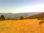 Imagen0076.jpg