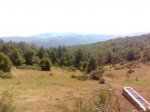 Imagen0078.jpg
