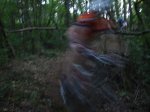 DSC02210.JPG