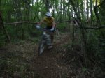 DSC02213.JPG