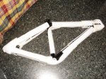 DSC07528.JPG