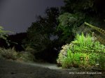 100_2770.JPG