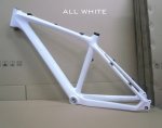 016-WHITE.jpg