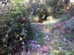 10082009222.jpg