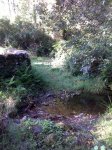 10082009223.jpg