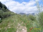 fotos cortes 60 25-04-09 055.jpg