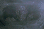 roldo2mr[1].gif