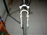 DSC00311-1.jpg