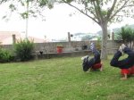 IMG_0526.jpg