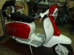 DSC01554.jpg