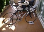 DSC01105.JPG