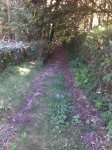 13082009252.jpg