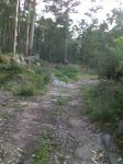 13082009261.jpg