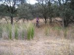 PRUEBA-RUTA-06065.jpg