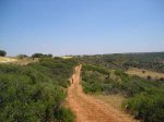 PRUEBA-RUTA-06141.jpg
