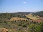 PRUEBA-RUTA-06143.jpg