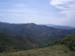 Pedals de FocÂ´06 003 (Custom).jpg