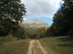 DSCF6184.jpg