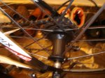 DSC00795.JPG
