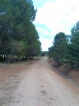 Imagen015.jpg
