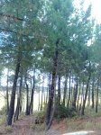 Imagen019.jpg