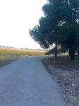 Imagen030.jpg
