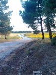Imagen033.jpg