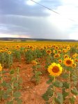 Imagen034.jpg