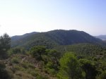 SANY0008.jpg