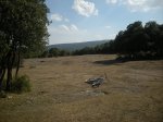 mini-2009_0539.JPG