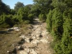 mini-2009_0541.JPG