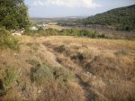 mini-2009_0567.JPG
