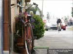 giro09st11rp-flowers[1].jpg