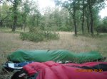 DSCN0410.JPG