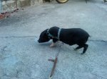 DSC00168f.JPG