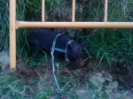 DSC00172k.JPG