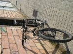 DSCN0943.jpg