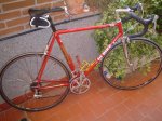 DSC02395.JPG