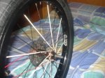 DSC05448.jpg
