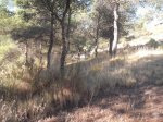 DSCF5097.JPG