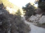 DSCF5106.JPG