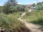 DSC00102.jpg