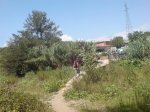DSC00103.jpg