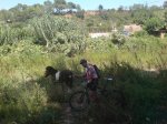 DSC00104.jpg
