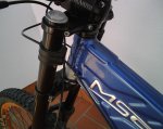 IMG00386.jpg