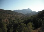 DSCF0118.jpg