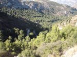 DSCF5172.JPG