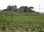 DSCN0970.jpg