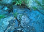 090813_090454.jpg