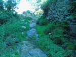 090813_090429.jpg